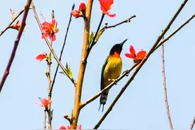 王波｜为什么亲戚之间不要合伙做生意？图片