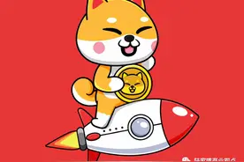 柴犬币暴涨造，8000美元十四个月变57亿？图片
