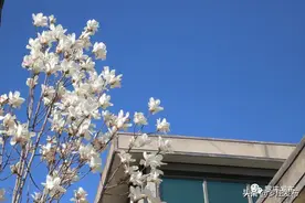 人居环境看傅庄 ‖ 环境整治再发力，击鼓鸣锣战擂台图片