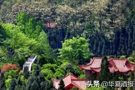 三问朱伟，贵州醇能担下第三大酱酒企业名号吗？图片
