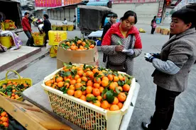 买沙糖橘，记住“5挑3不买”，帮你挑到好橘子，无核少渣又多汁图片