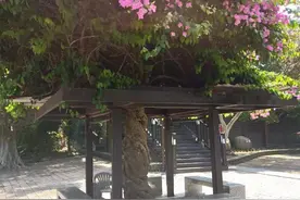 台湾游记之二十：台南关子岭风景区图片