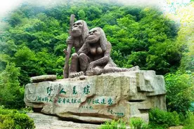 北纬讲异事【神农架野人】图片