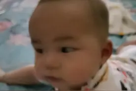 我的生产日记图片