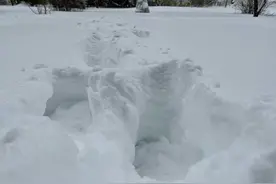 降雪已超同期历史极值！8日至9日鞍山仍有大到暴雪图片