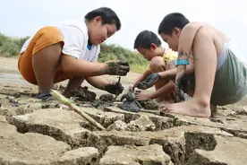 沙土性皮炎！3岁孩子玩完泥巴，多处出疹子图片