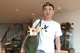 终于玩够了！王思聪与爸爸合伙开公司，持股比例却少得可怜图片