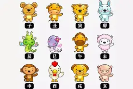 鼠年说鼠事图片