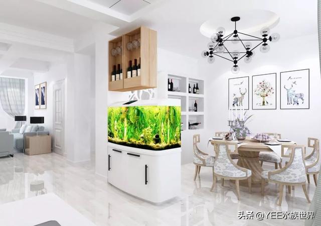 给底滤鱼缸做干湿分离，理论合理，效果惹争议