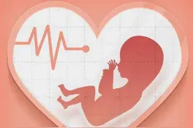 胎心真的可以推测生男生女吗？图片