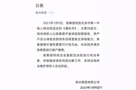 紫光会倒闭么？图片