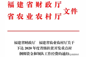 每村20万，永定8村获省财政补助！有你家乡吗？快来为家乡打CALL图片