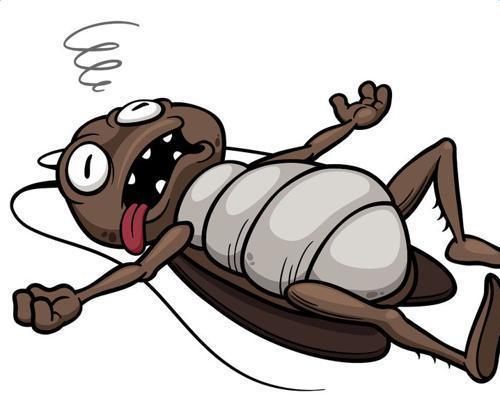 小强繁殖能力强,生命力也很强,再加上会飞,会游泳等等技能,可以说是最