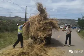 【安全提醒】在道路上打场晒粮？危险，又违法！图片