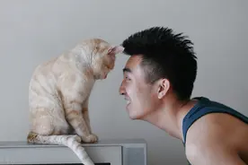 怀孕不能养猫？钟南山说：孕妇最好养猫，而且越早越好图片