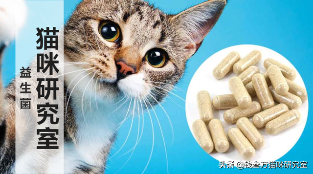 「益生菌合集」治软便原理、5类常见益生菌分析、空胶囊怎么买？