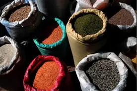 中国每年进口7万吨洋种子，可为什么不让农民自留种子？图片