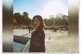 中国女商人在美国认罪：40名中国富豪的美国梦碎，大V的表演砸了图片