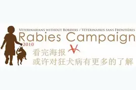 看这些狂犬病海报，加深你对狂犬病的了解图片