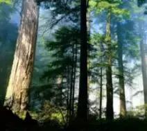 关于美容针，这篇文章都给你说清楚了