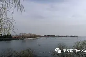 和春天的约定——满庄一中的特殊班会课图片