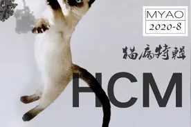 猫病特辑 | 肥厚性心肌病图片