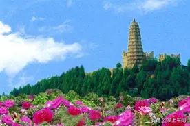 五月，那漫山的玫瑰飘香图片