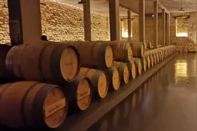 葡萄酒达人必知的陈年的 N 种方式！别只知道橡木桶啦图片