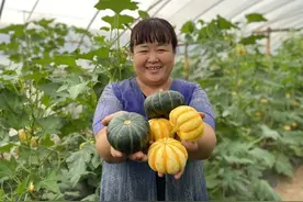 长安区：互联网+出发展新成效！图片