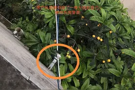 农村客户窃电就这几种手法，大家想看到的技术窃电，却总没遇到图片