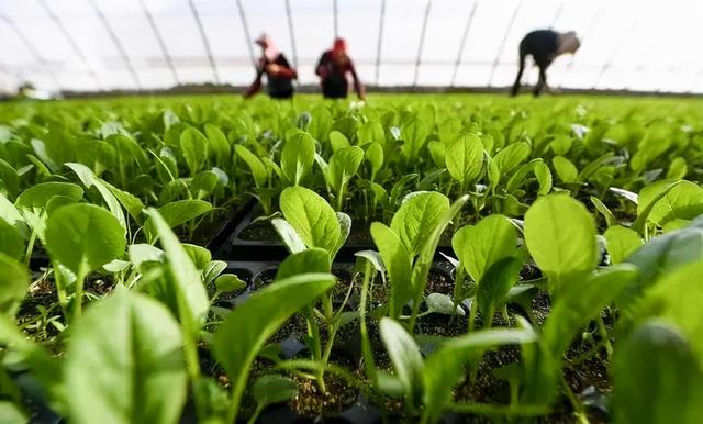 姘ㄥ熀閰告槸浠€涔堬紵鏈変粈涔堜綔鐢紵鍚笓瀹朵竴璁诧紝闀跨煡璇嗕簡