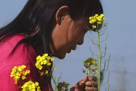 世界上最浪漫的事，就是和你一起回家视频封面
