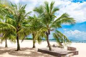 广东藏了个超小众的海岛，生态环境清幽，风景秀美，消费超级低图片