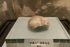 “夏娃理论”遭质疑，人类并非起源于非洲？中国发现的化石是关键图片