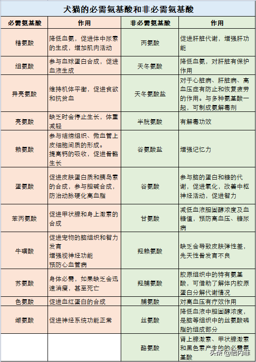 宠粮中的“氨基酸”都有什么用？说出来你肯定不信