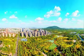 “投资福地”！前8个月合肥新签约935个项目图片