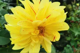 围场方言大全五十六（L12）图片