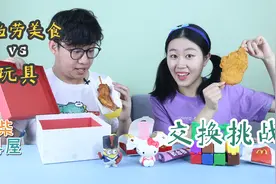 麦当劳美食vs玩具交换挑战！神秘盒子里能开出什么惊喜呢？视频封面