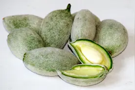 被叫成“美国大杏仁”的干果，强行改名后销量下滑，但改得非常对图片