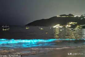 60年再度重现！墨西哥海滩惊现梦幻“蓝色荧光海滩”图片
