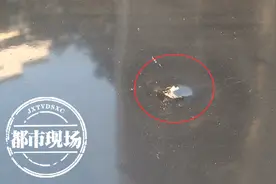 南昌：一声巨响，琉璃瓦片从天而降，小车车顶被砸穿图片