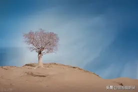 果不其然，于月仙去世，又被一部分人说成“阴谋论”图片