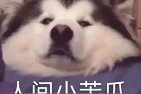 暧昧让人受尽委屈，为什么你的暧昧都无疾而终？图片