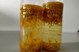 这些“垃圾”不要扔，用来养花效果好，既环保又省钱图片