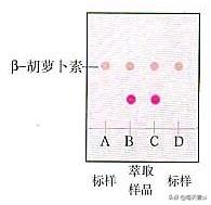 因疫情不能去学校，在家学习生物选修一知识点