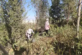 戈壁滩上建3000亩公园，不久，乌鲁木齐城西人民将多一个好去处图片