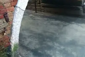 威尼斯河出现60年难遇的奇景，当地人都惊呆了！这可能是当下唯一的“好消息”吧……图片