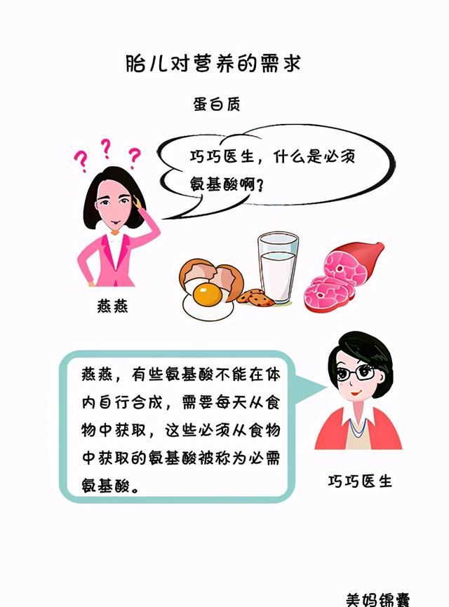 怎样摄取全部的必需氨基酸？