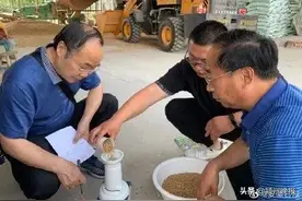 亩均824.7公斤！亳州市刷新安徽省小麦单产最高纪录，小麦品种由亳州市自己培育图片
