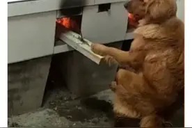 咸鱼那些搞笑的卖家图片